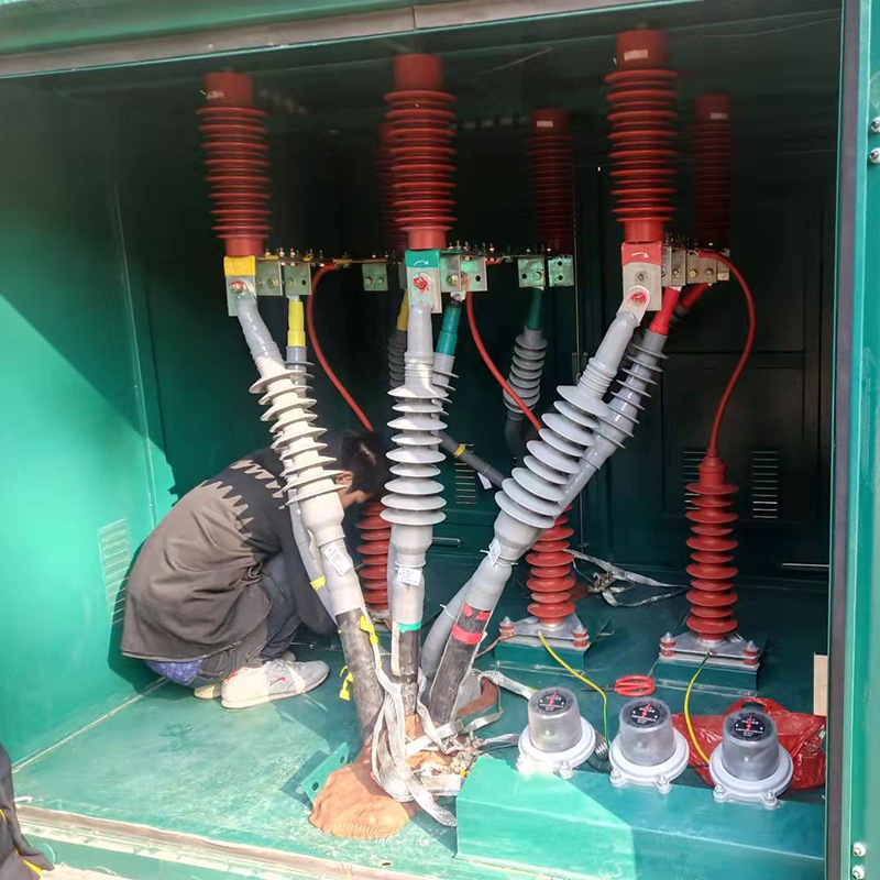 35Kv Branch Box with One Inlet and Isolation Switch 630A Stainless Steel European High Voltage 10Kv Copper Busbar Tap Box Intelligent