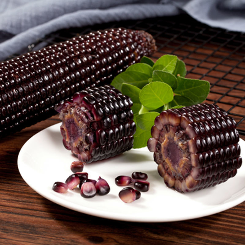 Black Corn Waxy Corn 10 Pieces Soft Glutinous Sweet Sticky Corn on the Cob Meal Replacement Independent Package