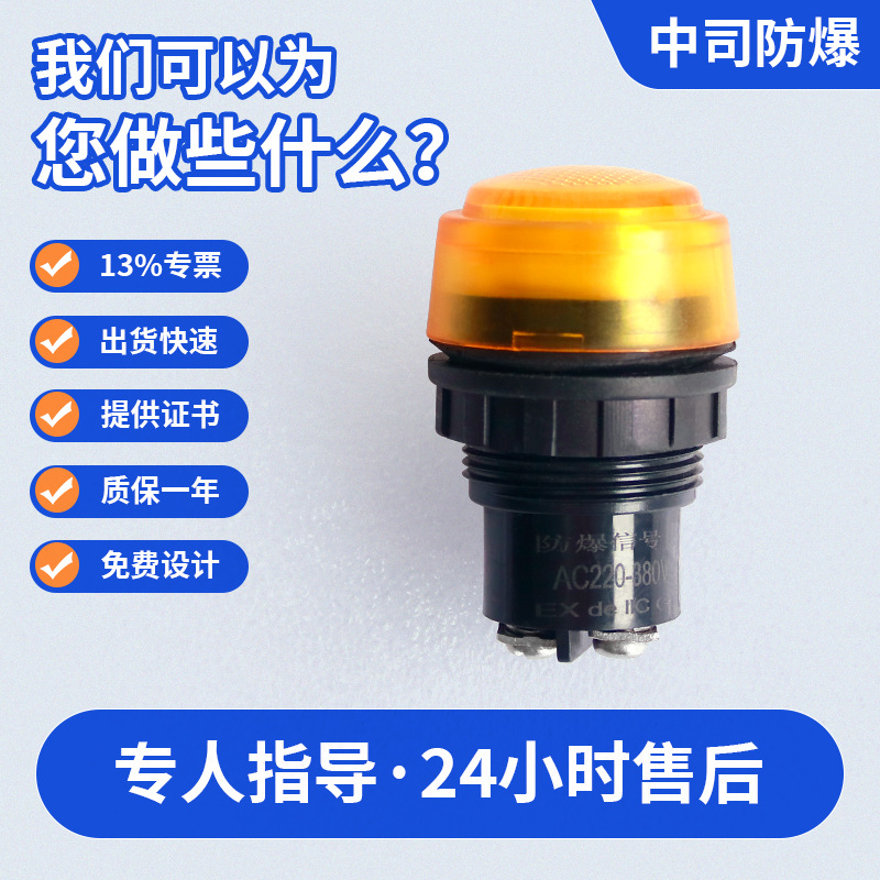 304 Stainless Steel Explosion-Proof Signal Light, Opening 30mm, Led Explosion-Proof Indicator Light, 24V-380V