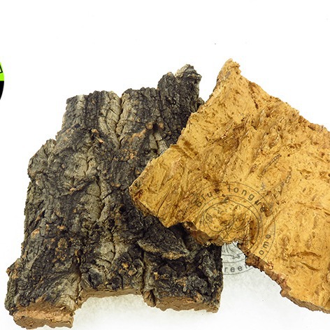 Champagne Bark Acrylic Reptile Feeding Box Feeding Box Landscape Lizard Pet Fire Rose Spider Escape Climbing