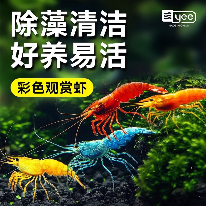 Тропические декоративные креветки, инструменты для удаления водорослей