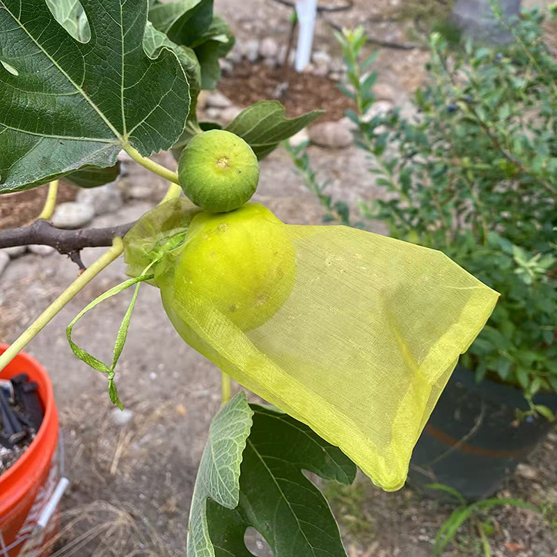 Special Mesh Bag for Fruit Protection Bag, Anti-Bird and Insect-Proof Mesh Bag, Tomato Tomato Grape Fruit Bag