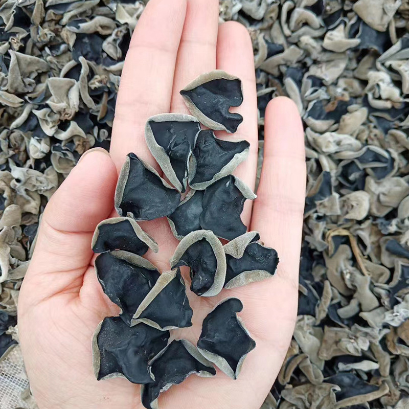 In-Stock Black Fungus from Northeast China, Dried Small Bowl of White Mountain Basswood Wild Autumn Fungus, Thick and Rootless