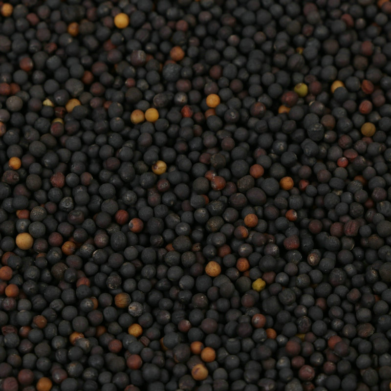 Rapeseed seed pigeon food tiger skin peony parrot hibiscus bird jade bird bird food winter bird oil extraction