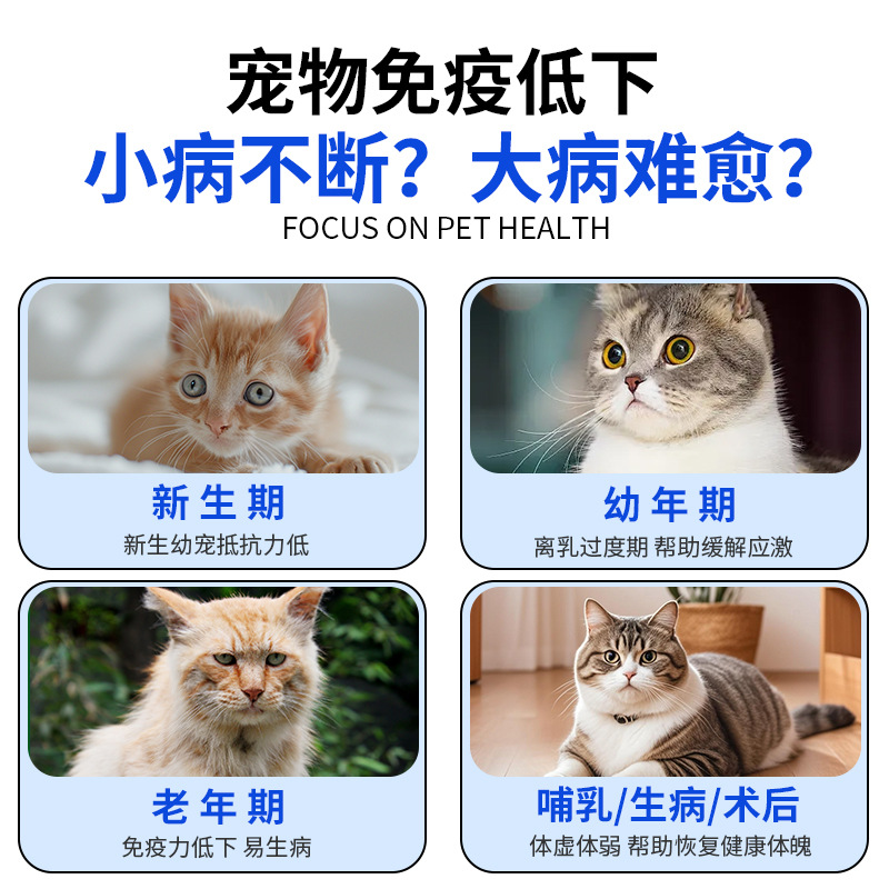 Pet Nutritional Cream for Dogs and Cats, Nutritional Supplement Cream for Kittens and Puppies, Vitamin Lactoferrin Nutritional Cream