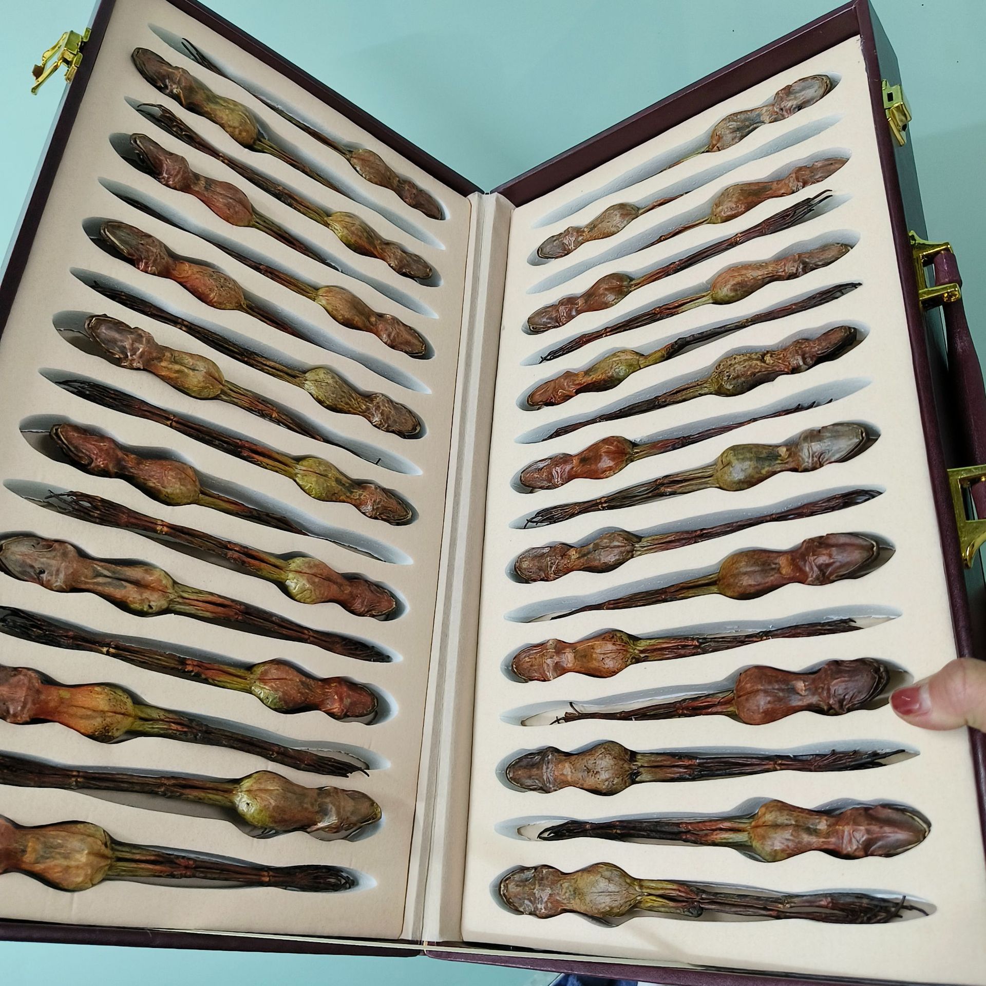 Pure Changbai Mountain Forest Frog Forest Frog Oil Toad Oil Northeastern Dried Forest Frog Northeastern Frog Oil Snow Clam Wholesale One Piece