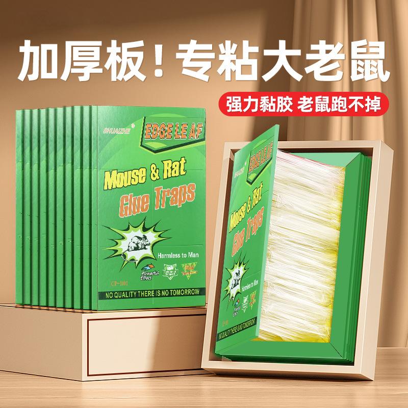 Cross-border foreign trade english version mouse sticky board super strong mouse sticker full Box 100 pieces factory wholesale household mouse board