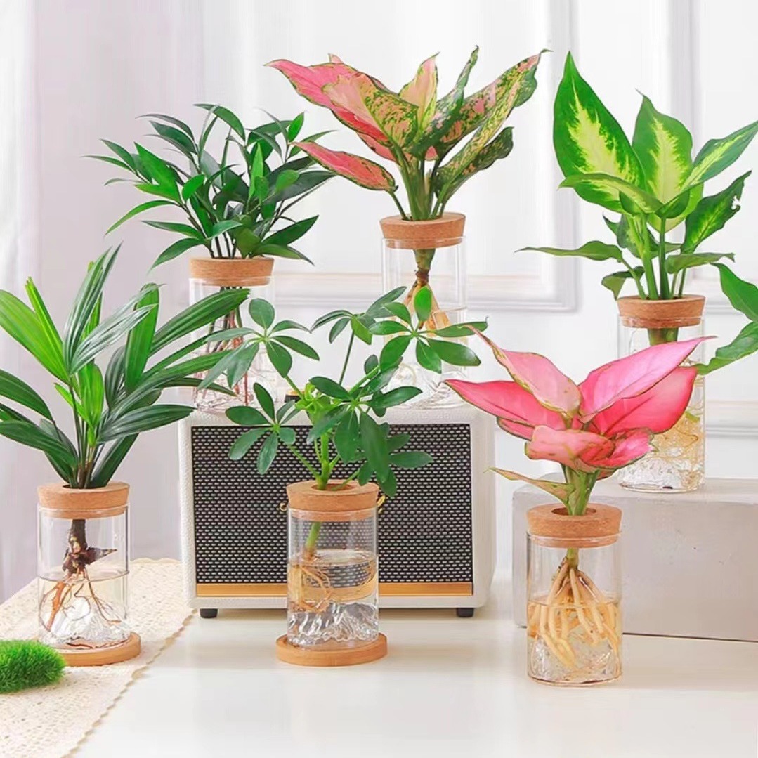 Гидропонная ваза, креативная микро-ландшафтная бутылка для цветов, декоративные украшения для гостиной