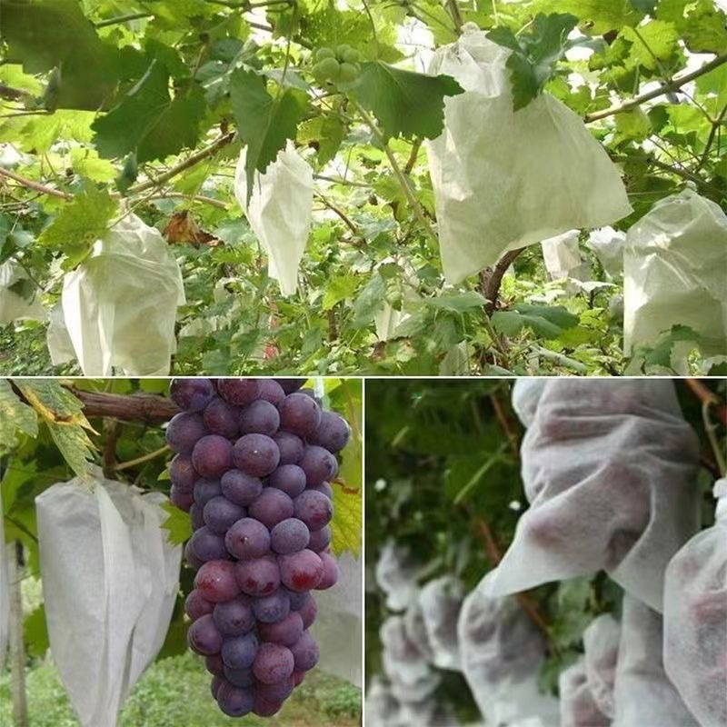 New Grape Bagging Non-Woven Fruit Open-Air Special Insect-Proof, Bird-Proof, Waterproof and Rain-Proof Fruit and Grape Bags Multi-Purpose