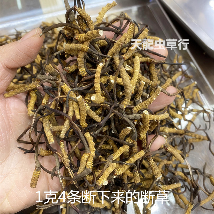 Xizang Cordyceps with tail and broken grass