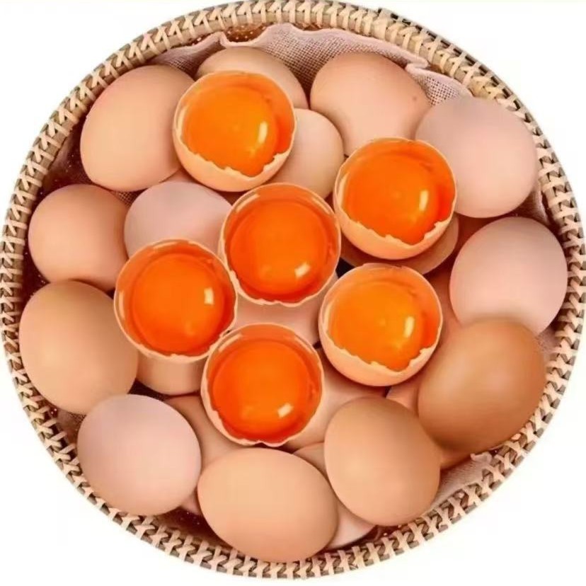 Яйца от кур горного пастбища, яйца от кур, питающихся травой, яйца, богатые селеном, яйца с кордицепсом, аутентичные яйца от кур свободного выгула, оптовая продажа большими партиями