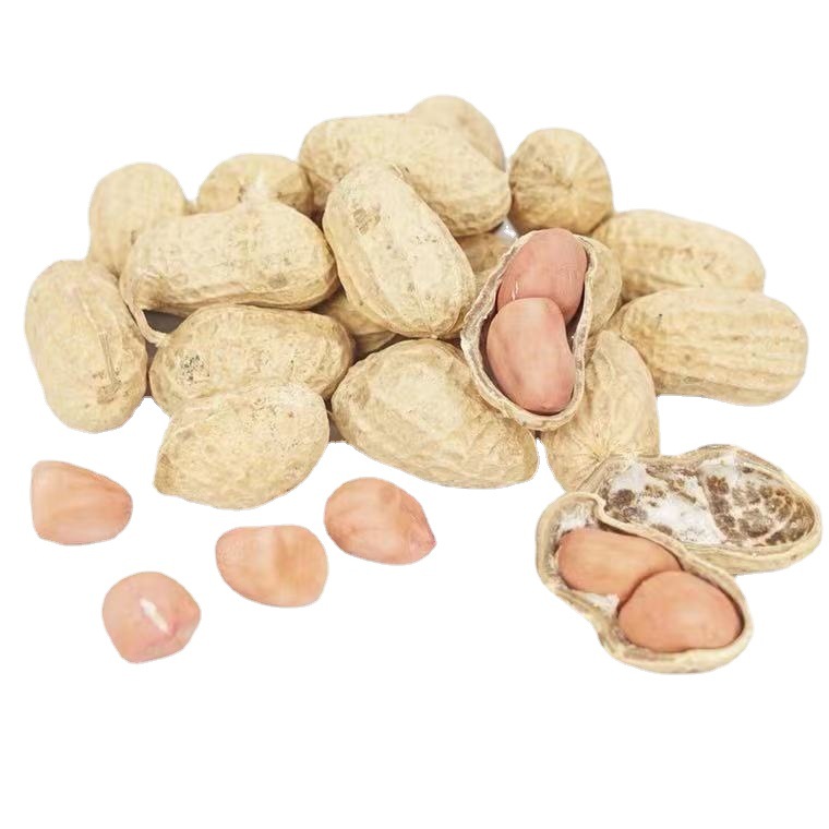 Shandong self-growing dry peanut shelled peanut new goods farm self-growing small white sand fruit oil pressing seeds