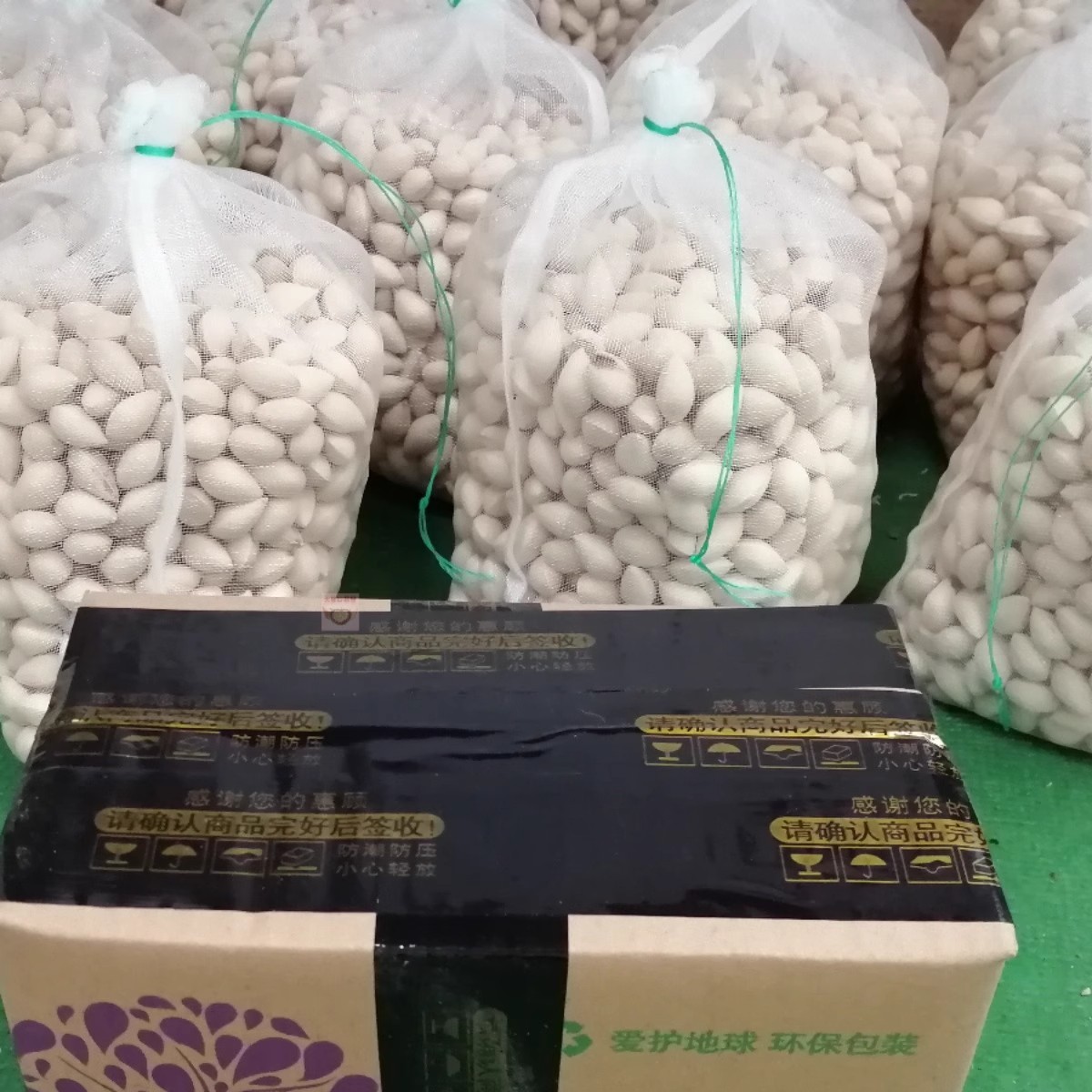 Hand-Picked Fresh Ginkgo Biloba from Farms in Taizhou, a Specialty of Taixing, 2025 Taixing Buddha Finger Raw Ginkgo Biloba