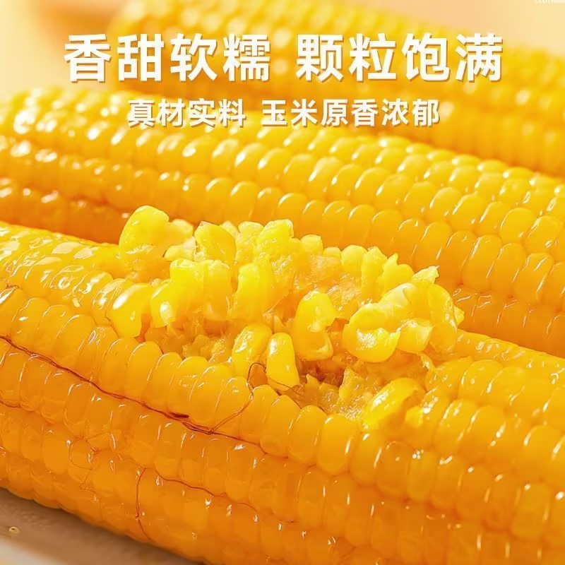 Yugu Rice Field Northeast Yellow Sweet Corn on the Cob, 8 Pieces, Vacuum-Packed, Freshly Picked, Sweet Corn, Sticky Coarse Grain, Meal Replacement Corn