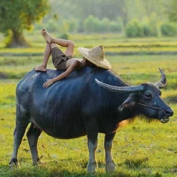 Stone Paper Is Used for Books, Cigarette Packages, Cartons, Wallpaper, Packaging Bags, Wallpaper, Hotel Supplies, Etc