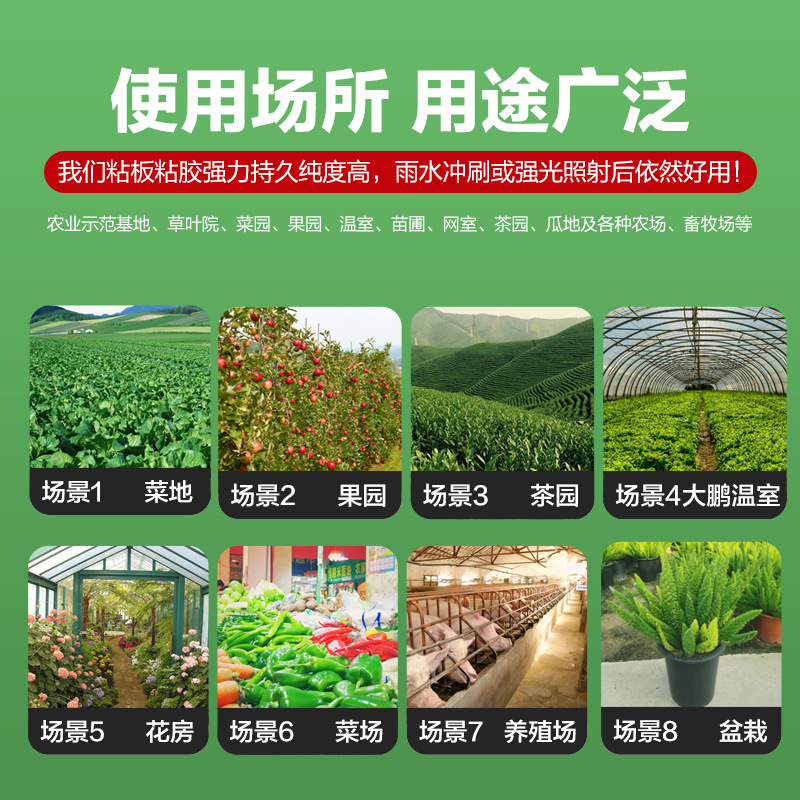 Yellow board double-sided sticky insect board special for greenhouse thrips small black feike star tea garden orchard garden garden flower trap fly board