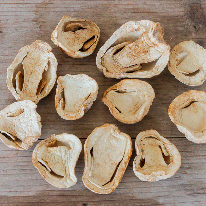 Farm straw mushroom dried goods 500g orchid mushroom non-grade edible mushroom specialty dried mushroom bulk agricultural products wholesale
