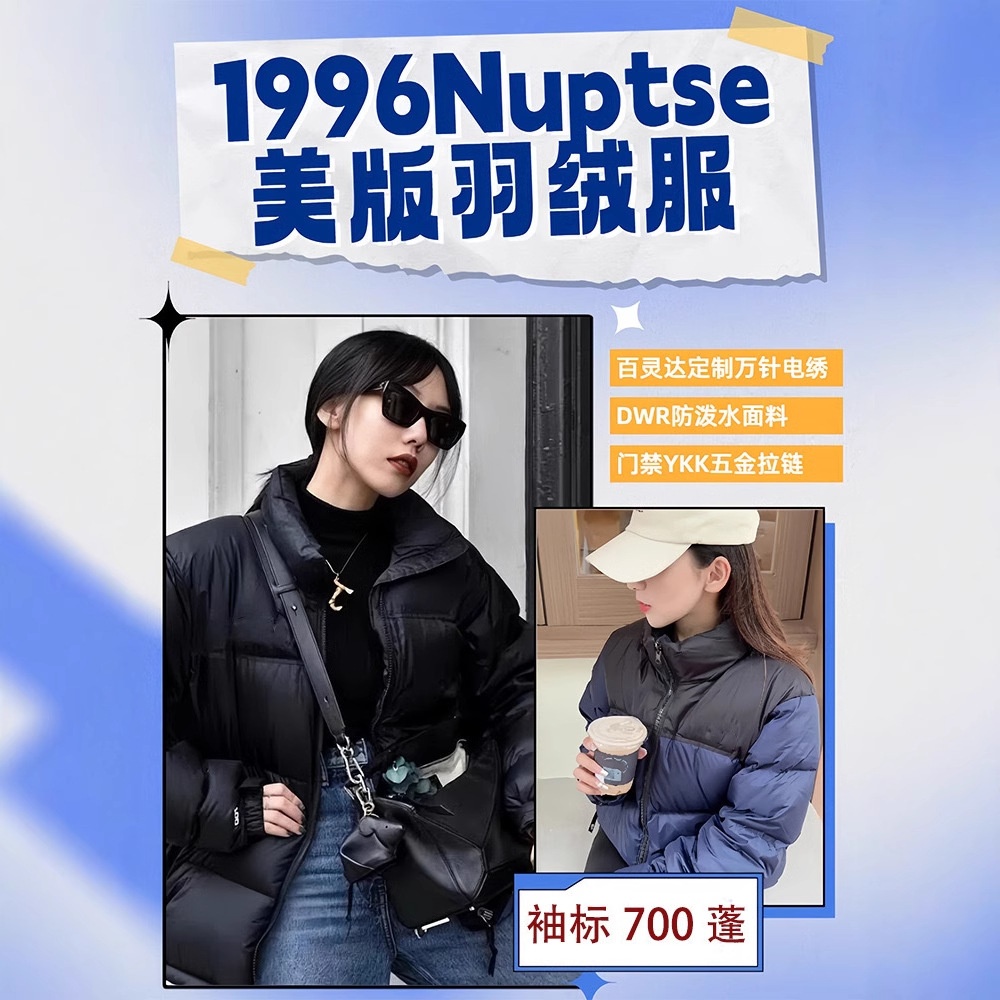 Putian Factory 1996 North Face down Jacket Windproof Waterproof Tnf700 Puffer Embroidered Thickened Warm Coat