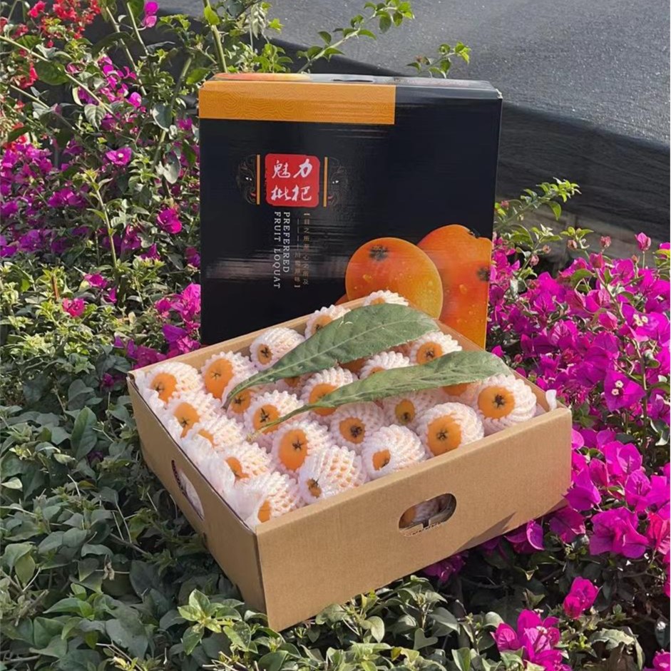 Подарочная коробка с лонганами из Сычуани Ми И, сезонный фрукт, собранный вручную с высокогорных деревьев, дропшиппинг по одной штуке, сладкий свежий фрукт, Заожун № 6