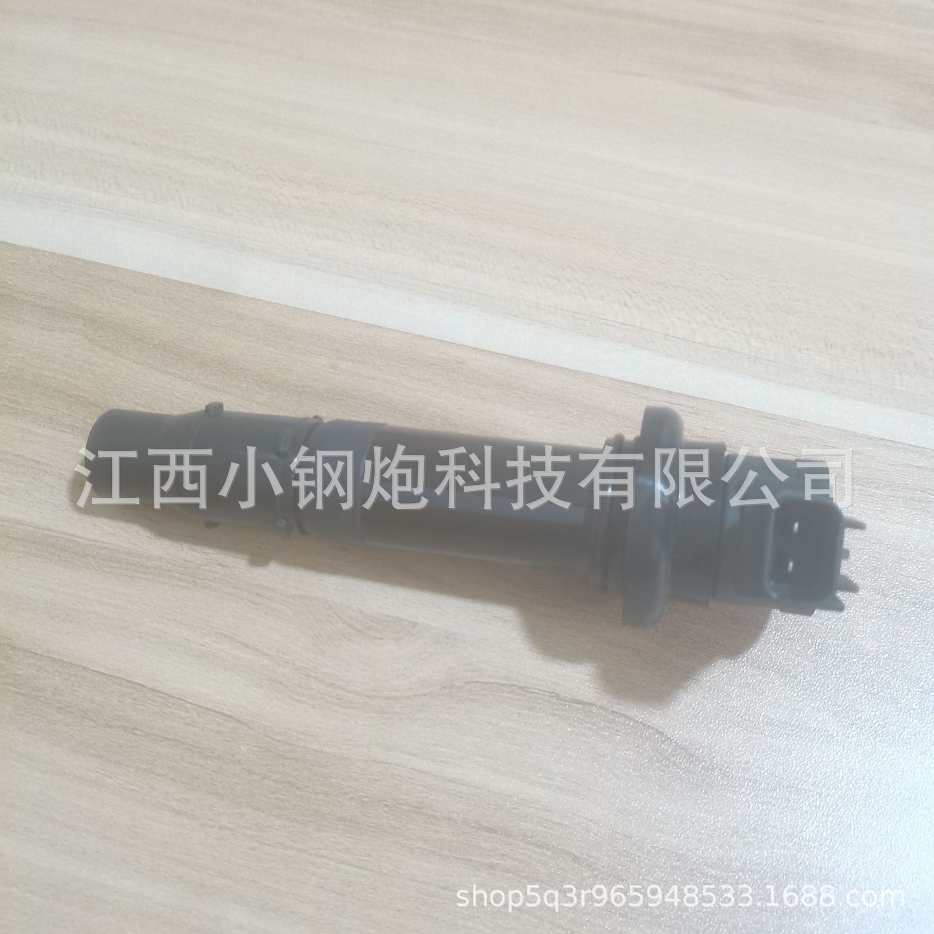 F6T558 4C8-82310-00-00 5Pw-82310-00 for Yamaha Ignition Coil Supply