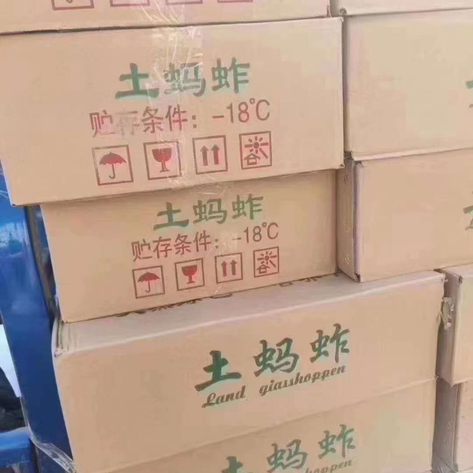 Wholesale Frozen Grasshoppers New Goods Native Grasshoppers Whole Box Commercial Spicy Fried Snacks Snacks Barbecue Special