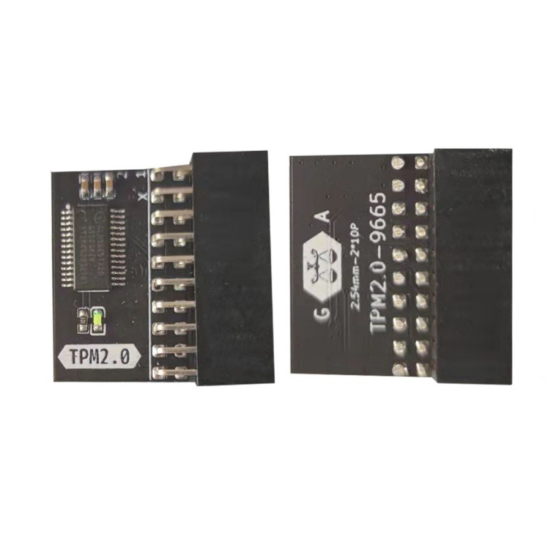 LPC tpm 2.0 remote card encryption security module
