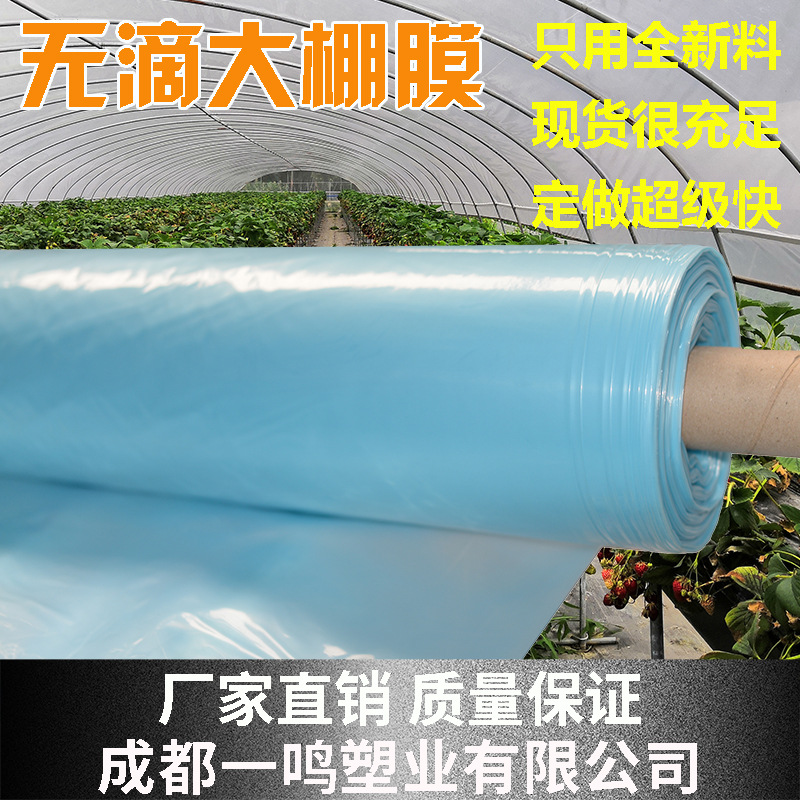 Прямые продажи завода индивидуальная сельскохозяйственная экструзия EVA тепличная пленка прозрачная пленка без капель пластиковая пленка