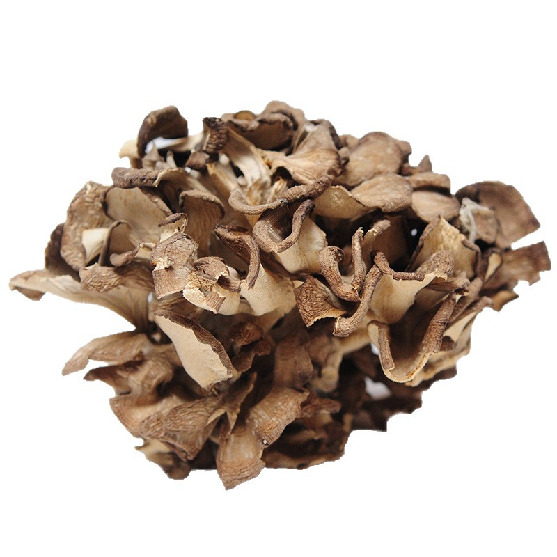Grifola Frondosa Qingyuan Manufacturer Direct Supply (Maitake) Dry Goods Sulfur-Free New Goods 500g Commercial Mushrooms Ready for Sale