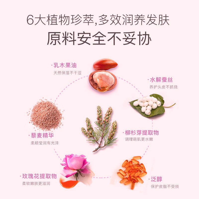 Oem Customized Full English Men's Shampoo Mint Tea Tree Shampoo Oem Export Shampoo Processing and Oem