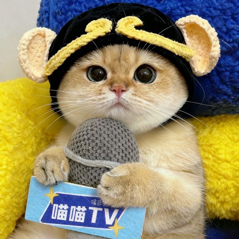 Pet Headgear, Cat and Dog Knitted Hat Props, Funny Transformation Clothing Wholesale, Small Flower Headgear Cross-Border