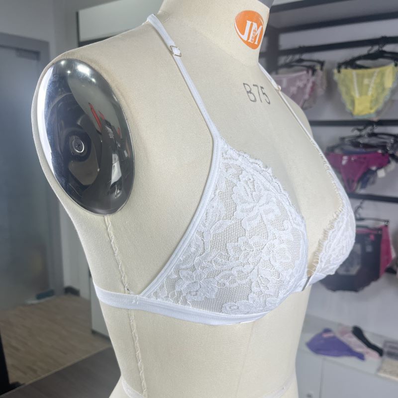 French underwear European and American ultra-thin lace breathable triangle BRA suit big chest small BRA