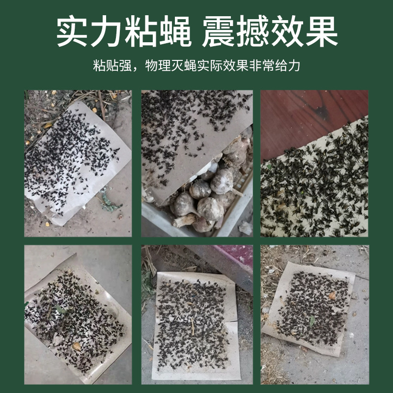 Sticky Fly Paper Manufacturers Can Be Customized, Strong Full Glue Fly Board, Mosquito Sticky Fly Paper, Fly Stickers, Large Quantity, Preferential Treatment