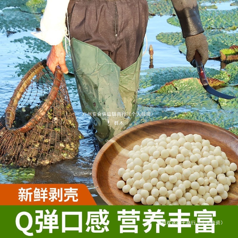Fresh Dried Glutinous Rice with Large Kernels, Suzhou Gorgon Fruit, Ready-To-Eat, Not Soft