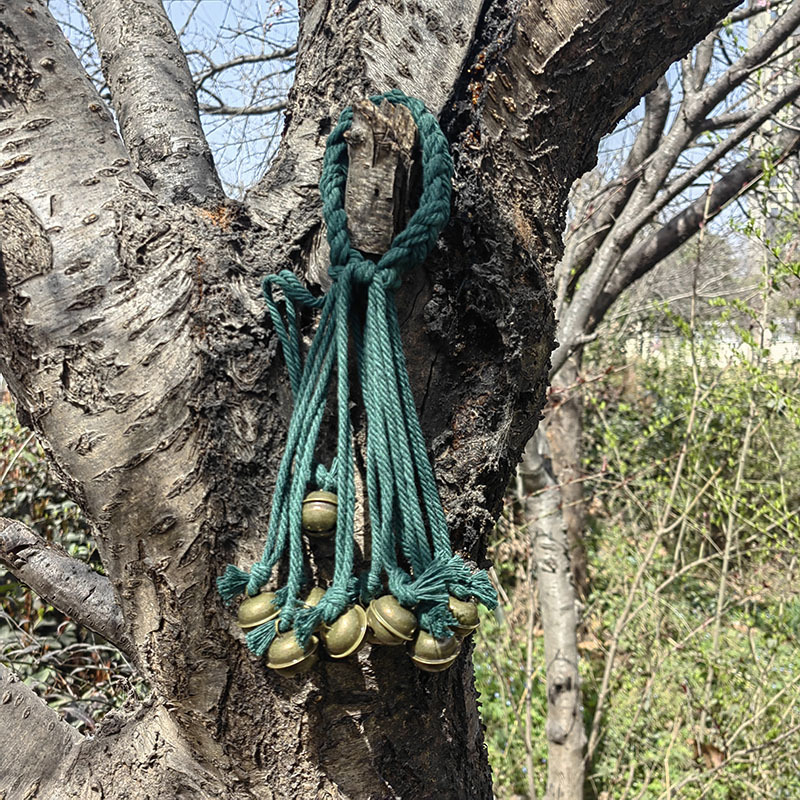 Висячий колокол/окна висячий орнамент/колокол благословения ведьмы Shein/удача