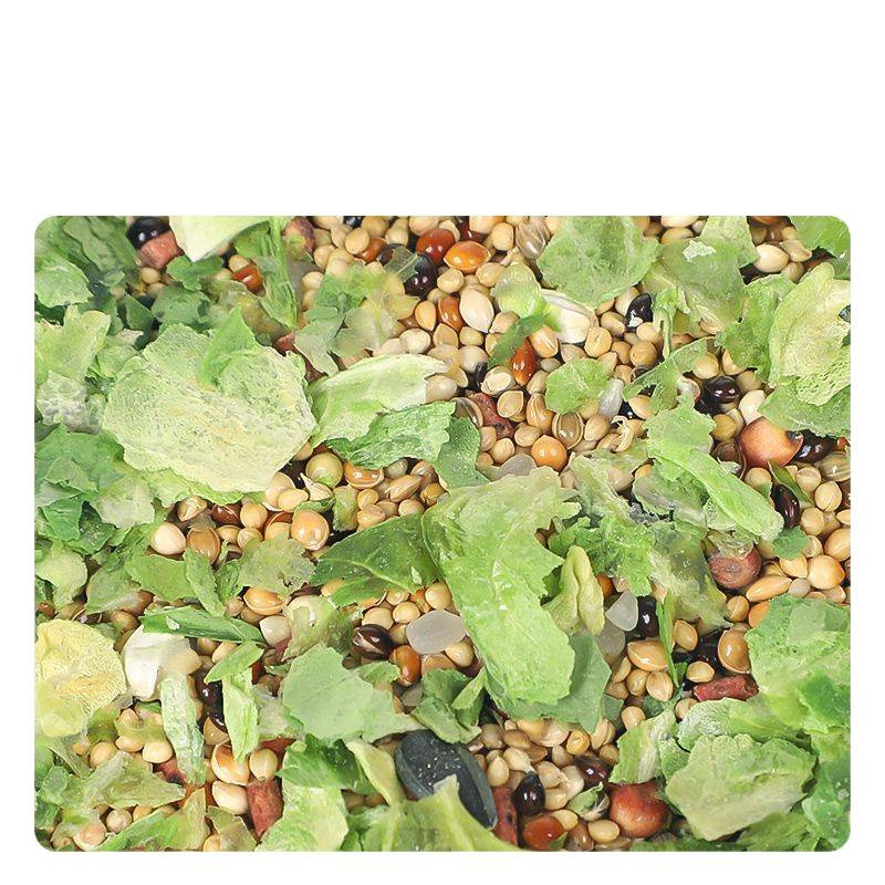 Hamster Snacks Freeze-Dried Spore Cabbage Teething Fattening Ready-To-Eat Pet Vegetables Golden Bear Rabbit Squirrel Feed