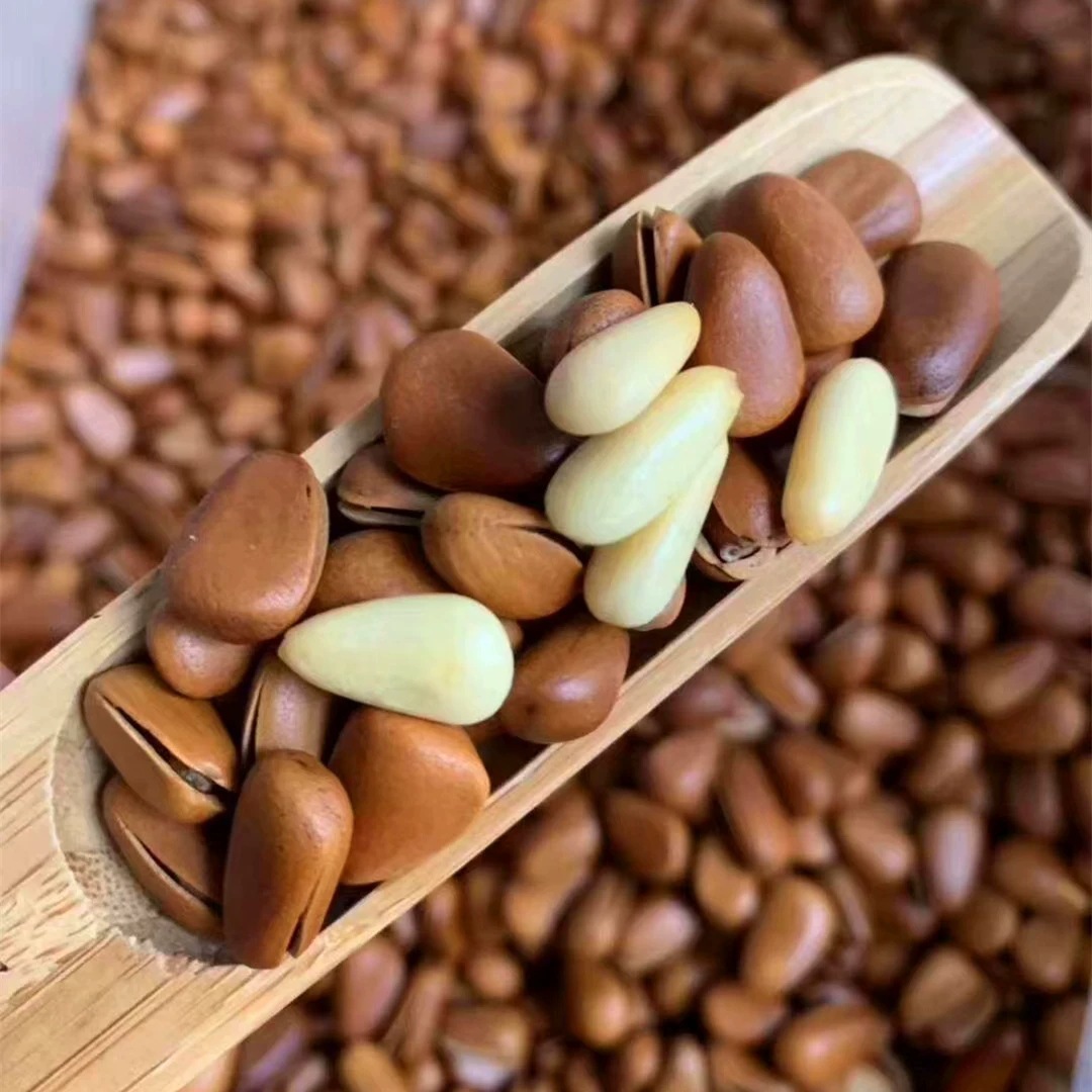 New Northeast Open Red Pine Nuts Large Granule Pine Nuts Sweet Fragrance Northeast Specialty 1/2/3/ 2.5kg 500G/Box
