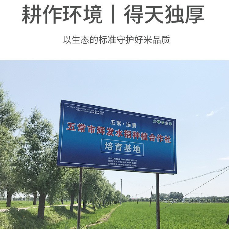 Northeast rice Wuchang black rice 500g cereals purple rice porridge fitness black rice porridge rice factory wholesale