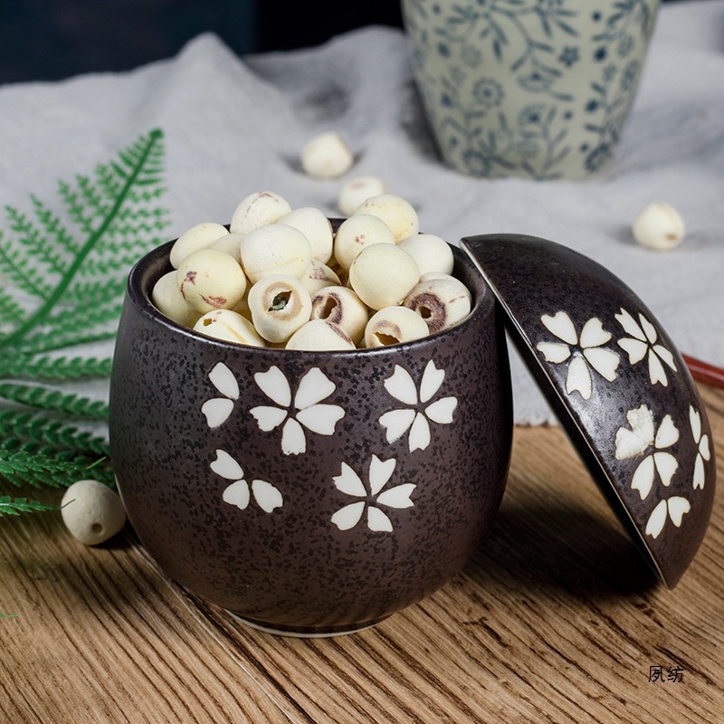 White Lotus Seeds 500g Natural White Lotus Seeds Dried Lotus Seeds with Core Removed and Skin Peeled, Selected Loose White Lotus Seeds