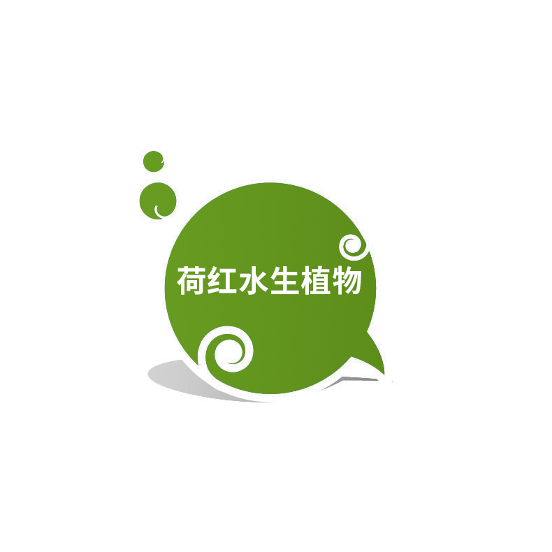 Grass, Submersible Plants, Four-Season Evergreen Bitter Grass, Aquatic Plants, Goldfish Algae, Foxtail Algae, Malay Eye Dish