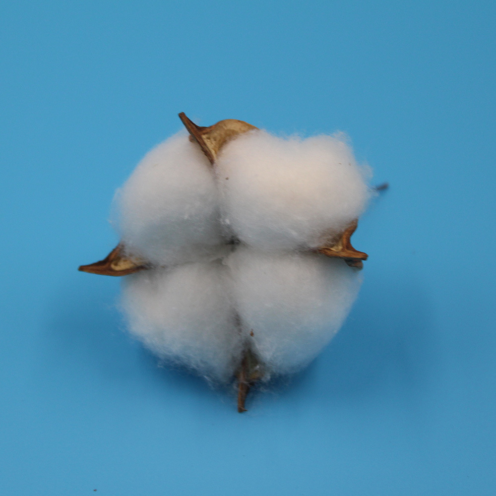 Хлопковые сухие цветы, имитация хлопка, натуральный капок, материалы для декора рождественского венка, белоголовый бессмертник