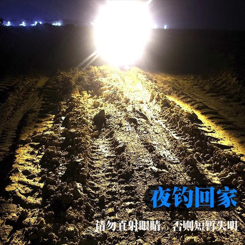 Night Fishing Light Laser Light Strong Light Fishing Light Purple Light Table Fishing Blue Light Four Light Sources Fishing Fishing Rechargeable Flashlight