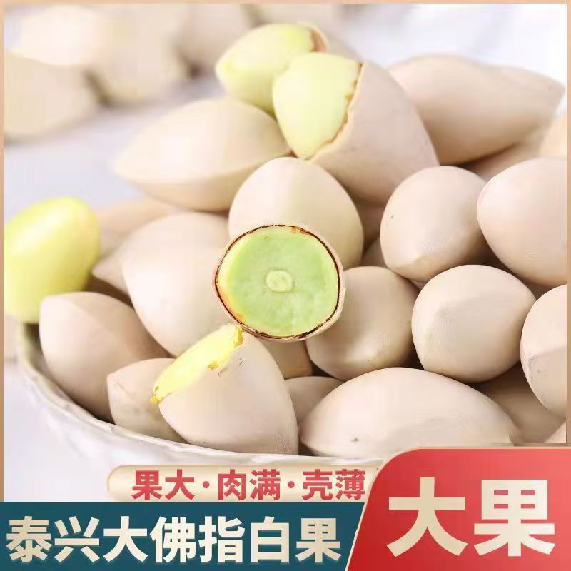 Fresh Seasonal Ginkgo Nuts from Taixing, China, Wholesale Pack of 1.0-2.5kg Large Ginkgo Nuts in 2025