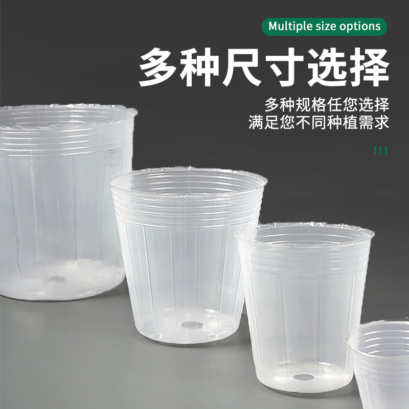 Cross-Border Transparent Phalaenopsis Nutrition Cup Black Nutrition Bag Disposable Nursery Cup Bowl Dendrobium Orchid Thickened Nutrition Bowl