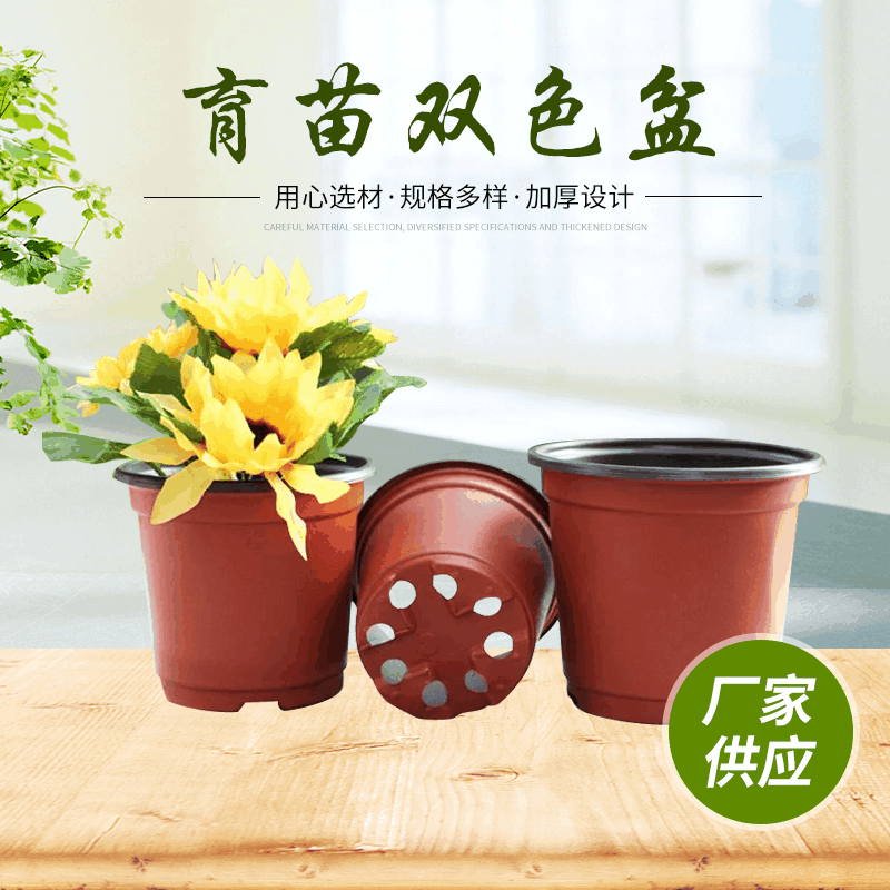 Two-color Pot Two-color Fleshy Flower Pot Green Plant Gardening Supplies Soft Suction Plastic pp Simple Seedling Pot Plastic Two-color