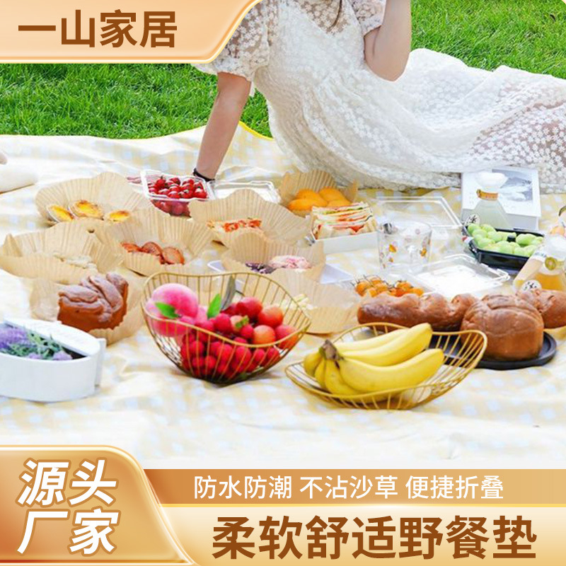 Популярный пикниковый коврик, влагозащитный, утолщенный, для кемпинга, водонепроницаемый, портативный, складной