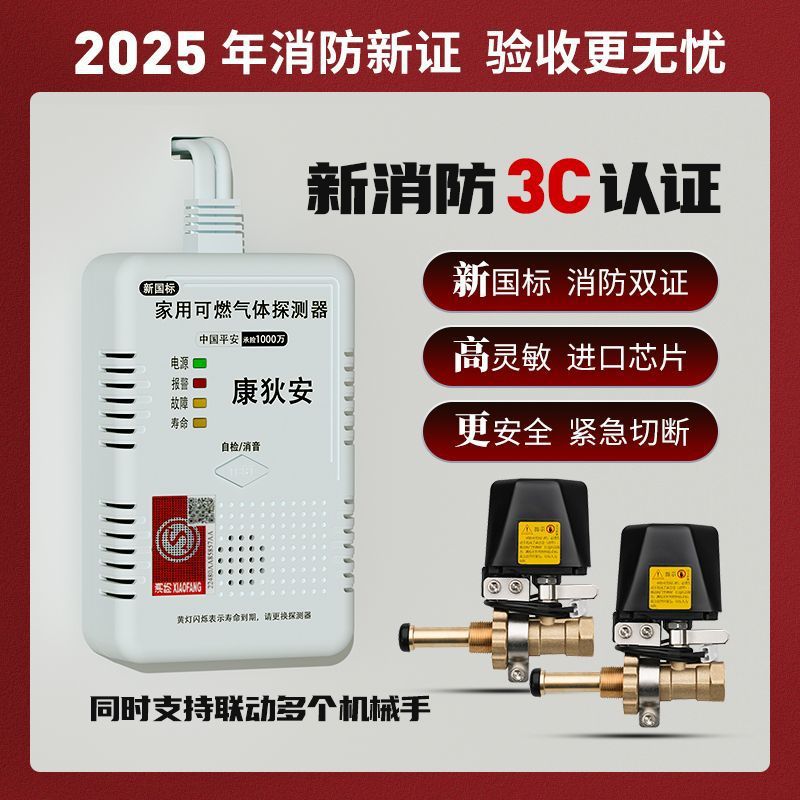 3C Certified Liquefied Gas Propane Gas Leak Alarm Commercial Catering Kitchen Manipulator One to Two One to Three