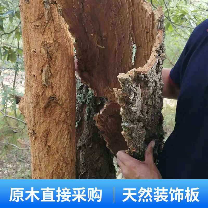 Real Bark Cork Bark Champagne Bark Climbing Pet Fish Tank Landscape Green Plant Wall Decoration Aquarium Decoration Wall Bark