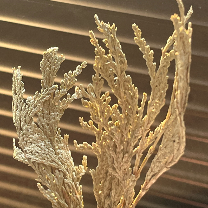 Pure Cedar Wholesale Single Bundle 45g Crystal Purification Healing Natural Plant Aromatherapy Home Cleaning Deodorizing Incense