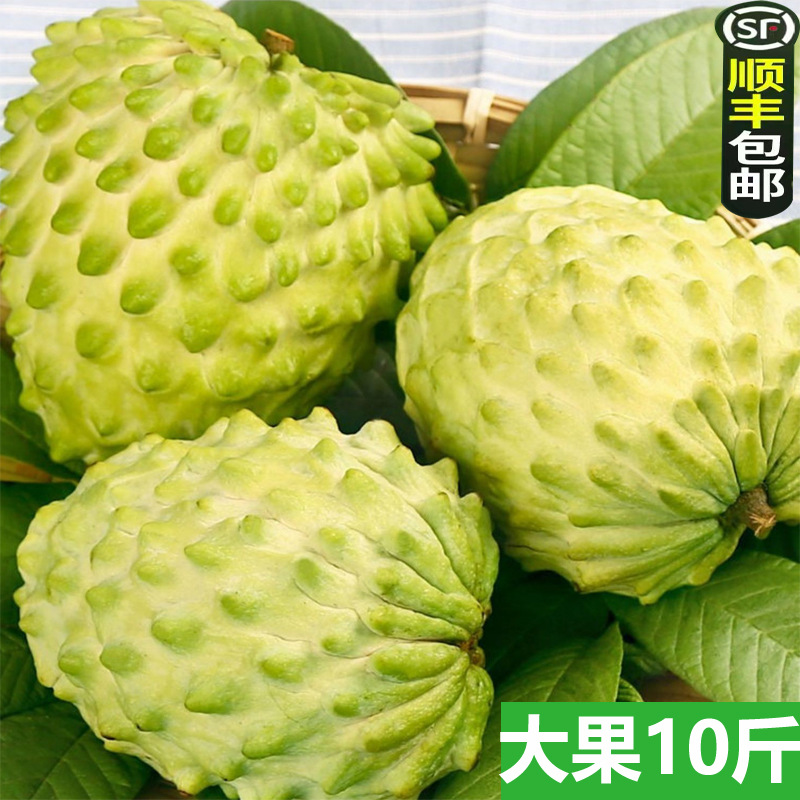 [Бесплатная доставка Sf] Свежий фрукт Сакьямуни из Гуанси, молочный саподилла, сезонный крупный фрукт, оптовая торговля