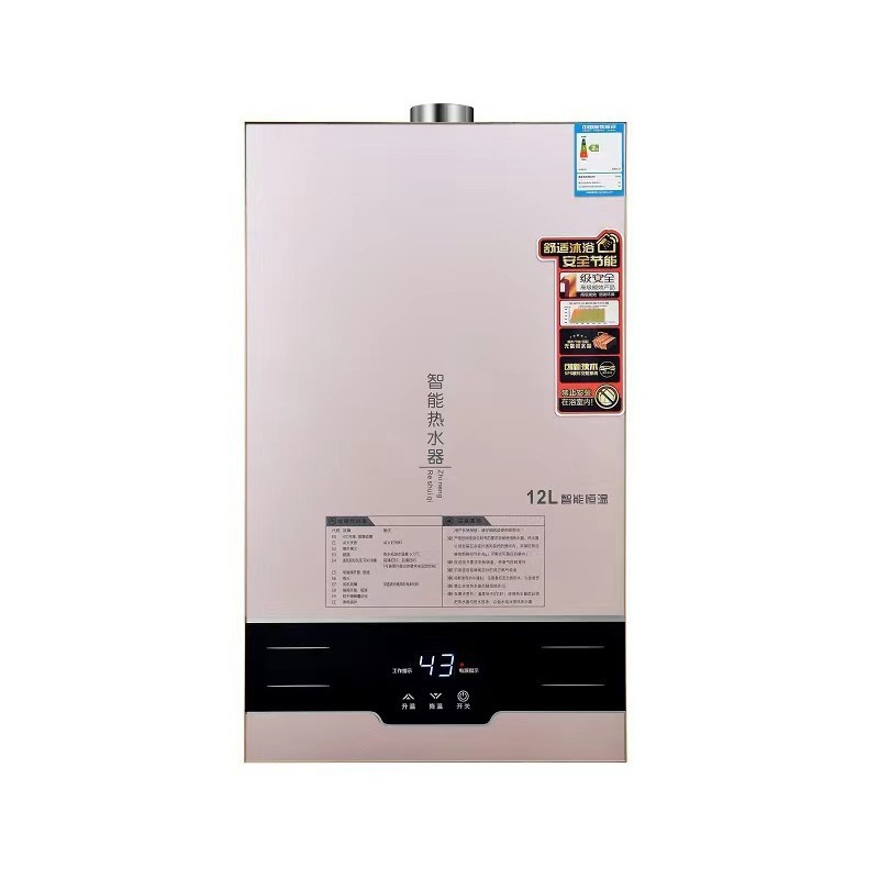 Wanjiile Life Gas Natural Gas Liquefied Petroleum Gas Gas Water Heater Plug-In Forced Exhaust Constant Temperature 12 Liters